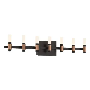 Albany 14 Lights 32 in. LED Vanity Light Black & Brass Finish