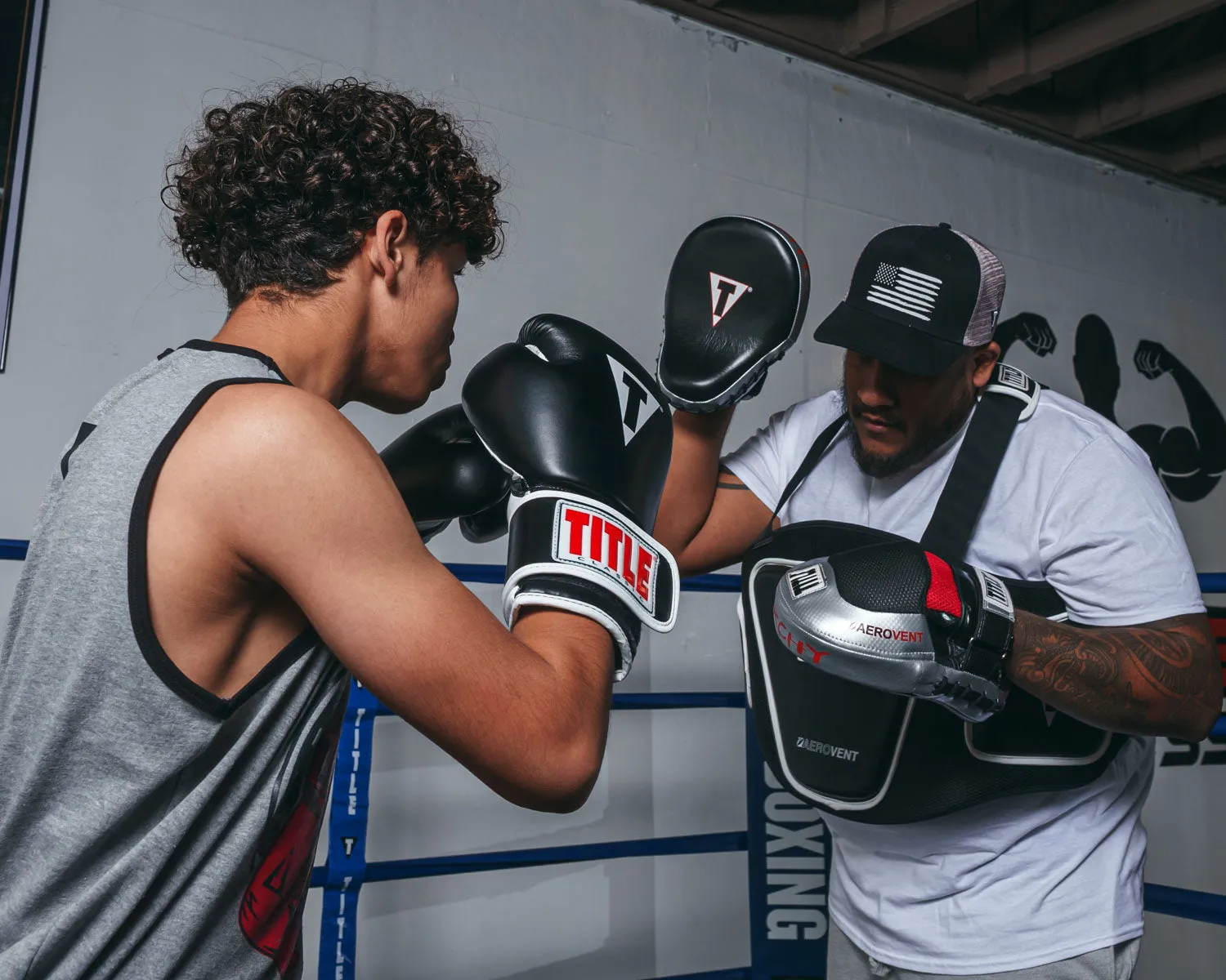 TITLE Boxing Aerovent Anarchy Punch Mitts